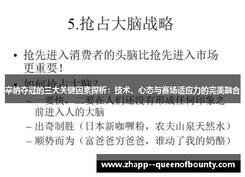 辛纳夺冠的三大关键因素探析：技术、心态与赛场适应力的完美融合