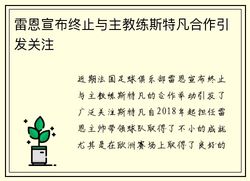 雷恩宣布终止与主教练斯特凡合作引发关注 雷恩宣布终止与主教练斯特凡合作引发关注