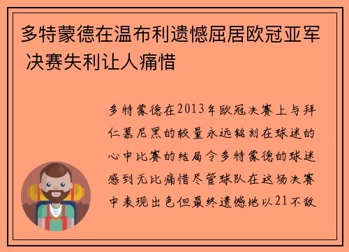 多特蒙德在温布利遗憾屈居欧冠亚军 决赛失利让人痛惜